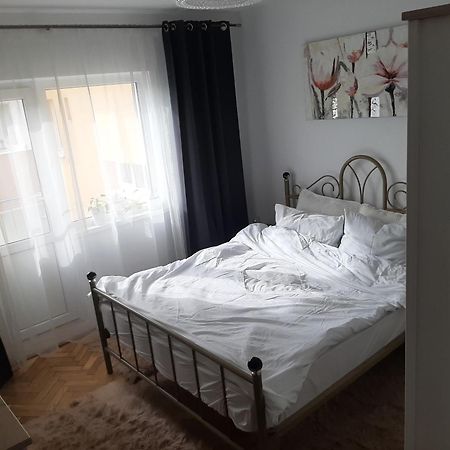 Mari&Vio Apartment Kaloşvar Dış mekan fotoğraf