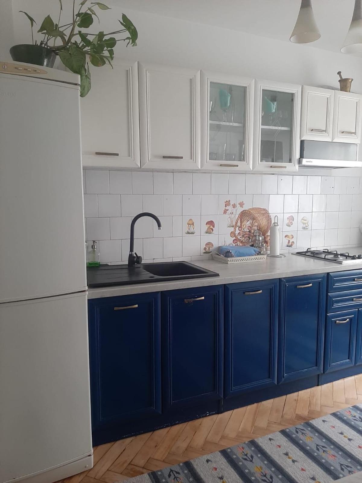 Mari&Vio Apartment Kaloşvar Dış mekan fotoğraf