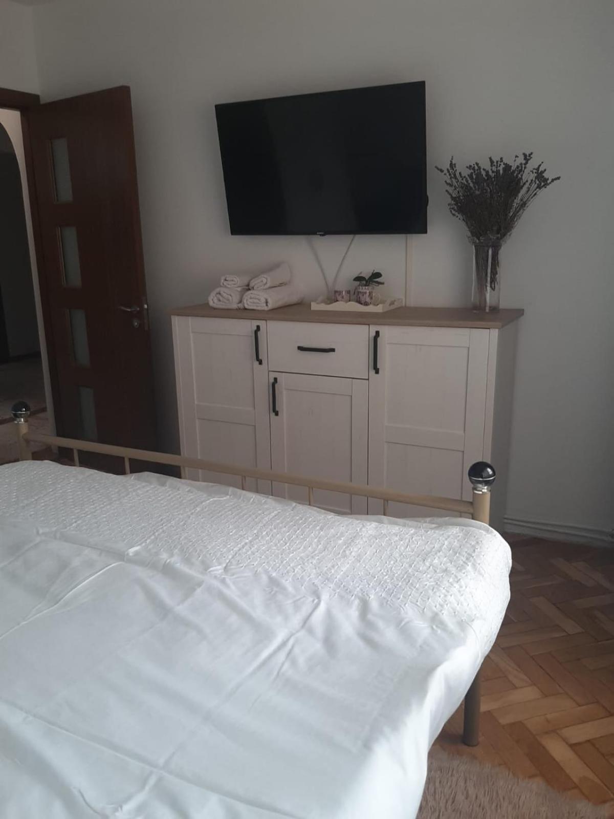 Mari&Vio Apartment Kaloşvar Dış mekan fotoğraf
