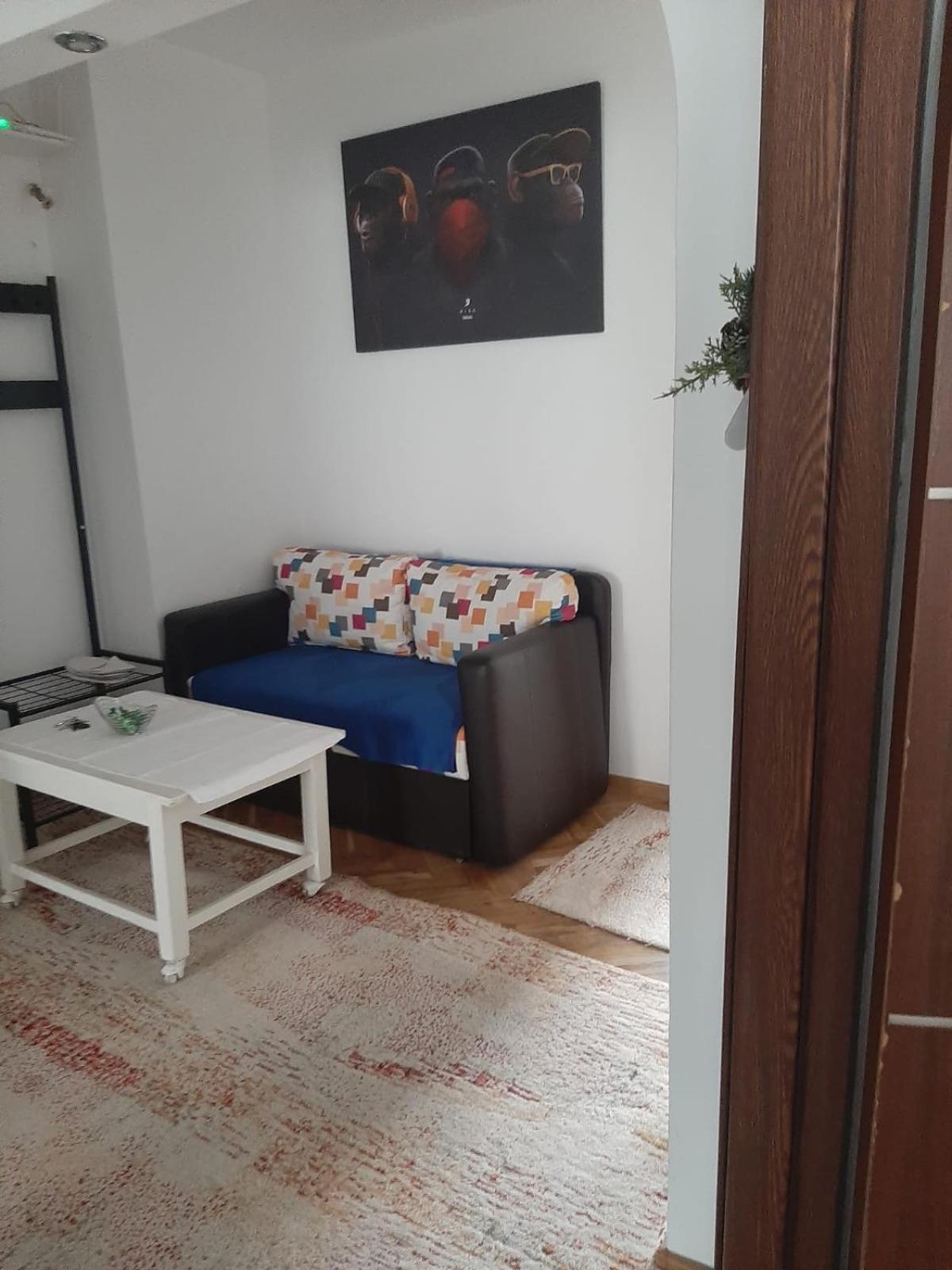 Mari&Vio Apartment Kaloşvar Dış mekan fotoğraf