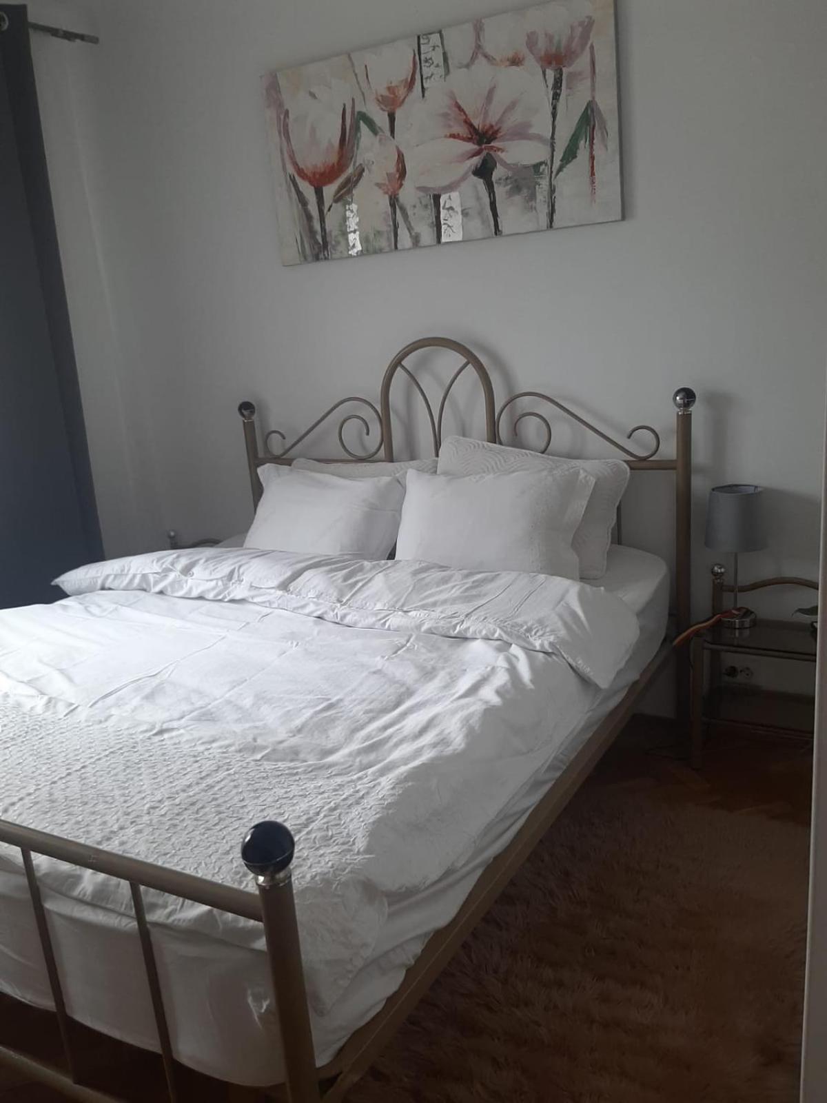 Mari&Vio Apartment Kaloşvar Dış mekan fotoğraf
