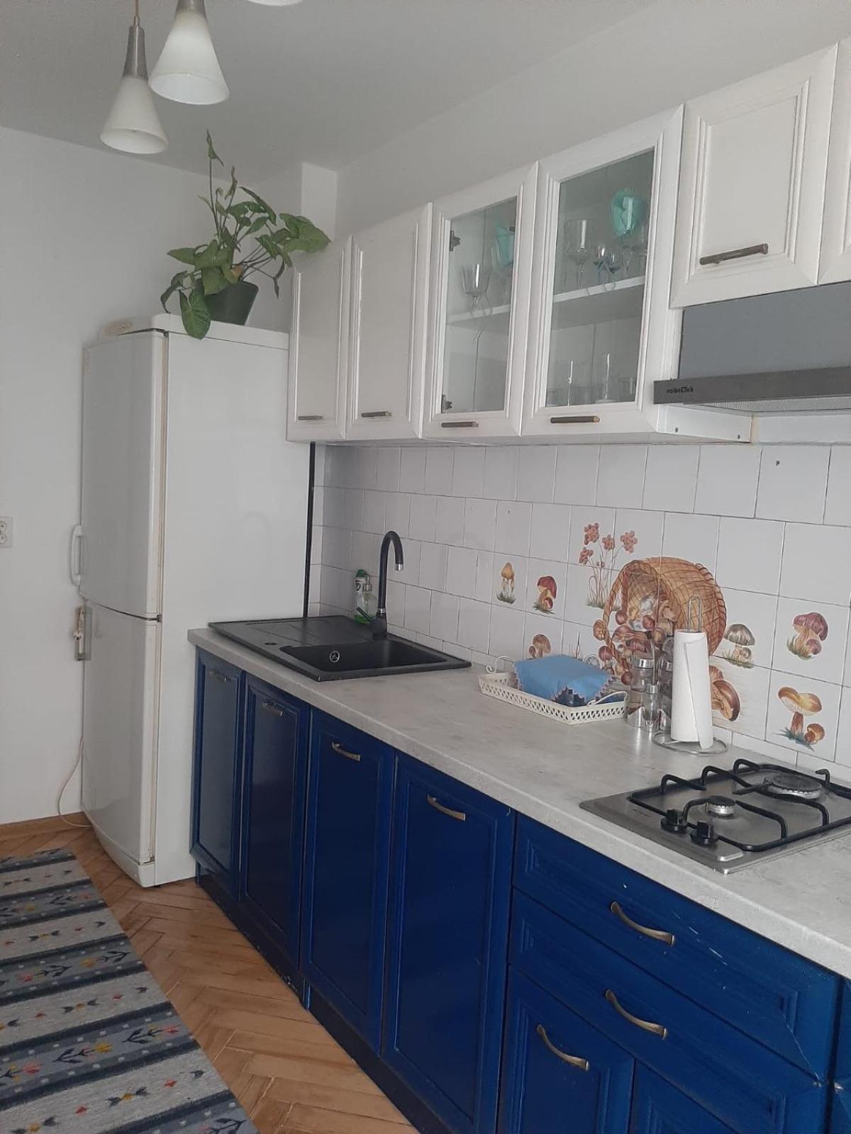 Mari&Vio Apartment Kaloşvar Dış mekan fotoğraf